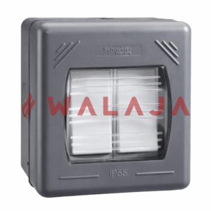 Schneider Electric Exclusive 2 way switch 2 gangs 10 AX