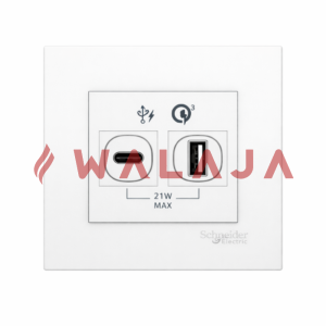 Schneider Vivace A + C USB Charger White