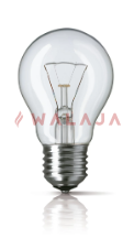 Incandescent Lamp