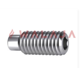 Dog Point Grub Screw