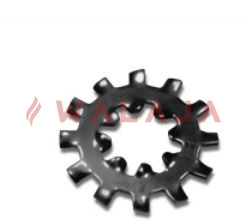 Double Toothed Lock Washer