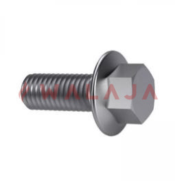 Flange Bolt