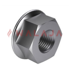 Flange Nut Serrated