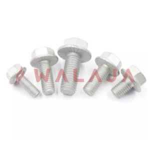 HOT DIPPED GALVANIZED FLANGE BOLT