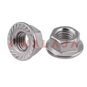 HOT DIPPED GALVANIZED FLANGE NUT