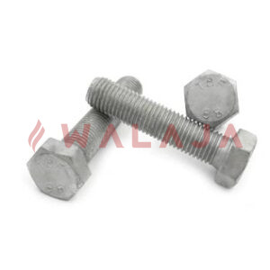 HOT DIPPED GALVANIZED HEX BOLT GRADE 12