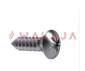 Oval Head Self Tapping Screw