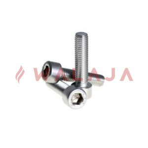 SS 316 ALEN BOLT
