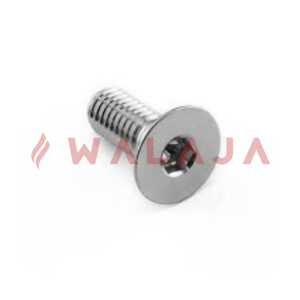 SS 316 CSK BOLT