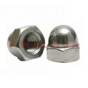 SS 316 DOME NUT