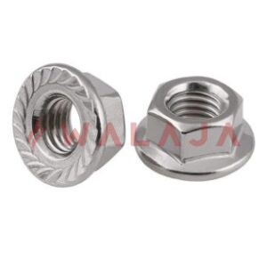 SS 316 FLANGE NUT