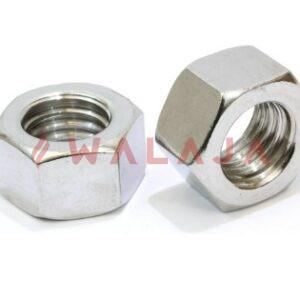 SS 316 HEX NUT