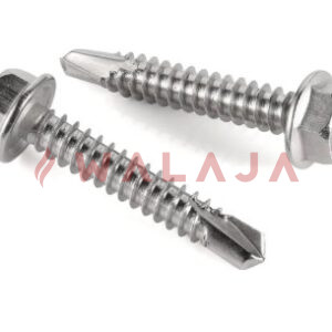 SS 316 HEX SELF DRILLING SCREW