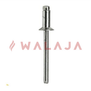 SS 316 POP RIVETS