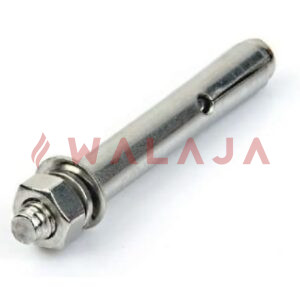 SS 316 RAWL BOLT