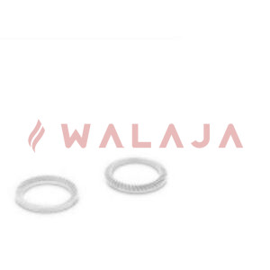Schnorr Washers