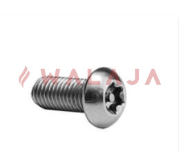 Torx Screw, Button Head