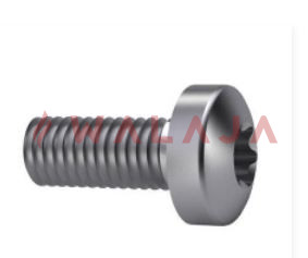 Torx Screw, Pan Head