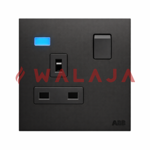 ABB Millenium BS double pole switched socket outlet with LED – AM23886-SB