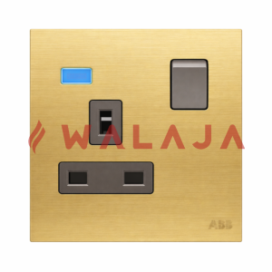 ABB Millenium BS double pole switched socket outlet with LED – AM23886-MG