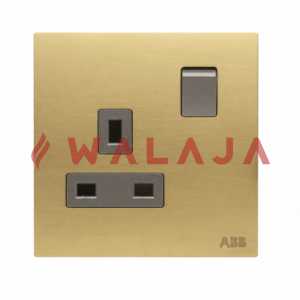 ABB Millenium BS Double Pole Switched Socket Outlet – AM23786-MG