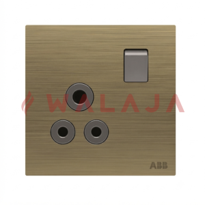 ABB Millenium BS double pole round pin switched socket outlet – AM22186-AG
