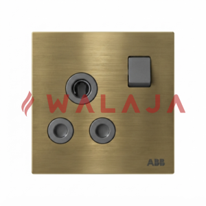 ABB Millenium BS Double Pole Round Pin Switched Socket Outlet – AM20986-MG