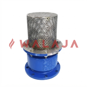 FOOT VALVES- Cast Iron/Ductile Iron Size: 2" to 12"