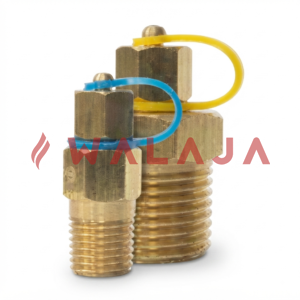 VALVES & PIPE FITTINGS -TEST PLUGS Brass/SS Connection: 1/2"
