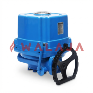 ELECTRIC ACTUATOR
